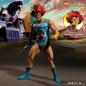 Mobile Preview: THUNDERCATS 14inch NEW LION-O AF