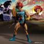 Preview: THUNDERCATS 14inch NEW LION-O AF